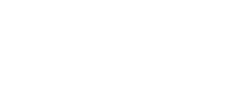 Sigerson Intelligence Corporate Logo
